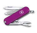 Victorinox Classic SD Colors Chutný hrozen